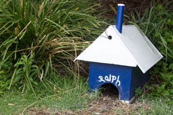 Ralph's house - Home for Fairy Penguins